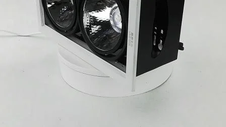 High Brightness Creative Retrofit 2*12W Available Double Head LED Grille Light